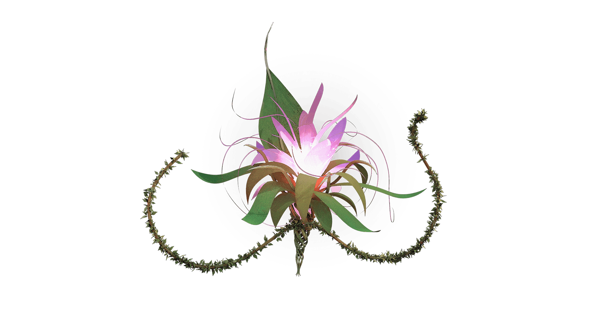A standalone image of Feykin's Affection which resembles a flower with pink and white petals. Green leaves surround the flower and two vines curve upwards on its left and right side
