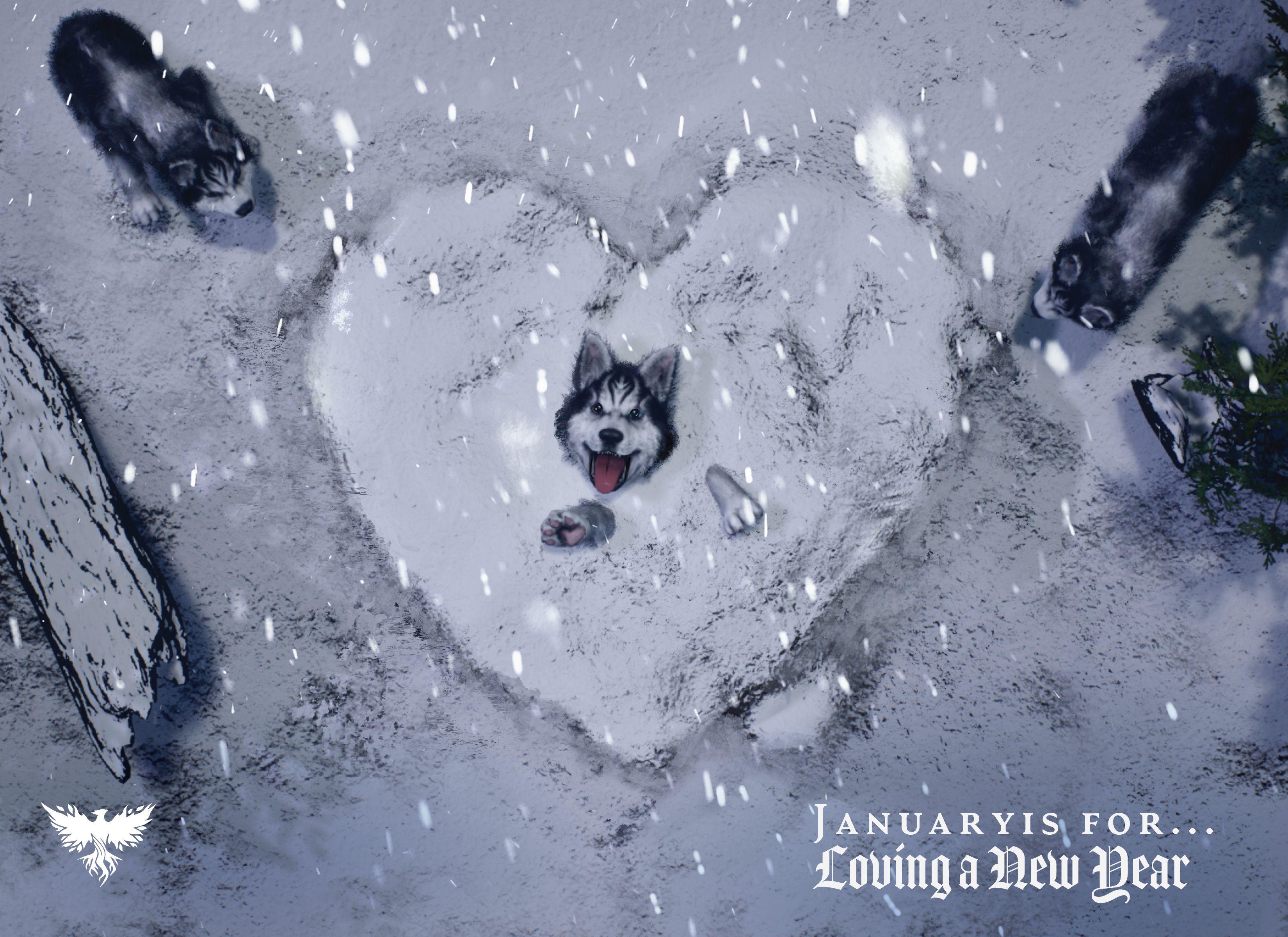 Three wolf pups in a snow scene with one of them buried in a snow pile that is shaped like a heart