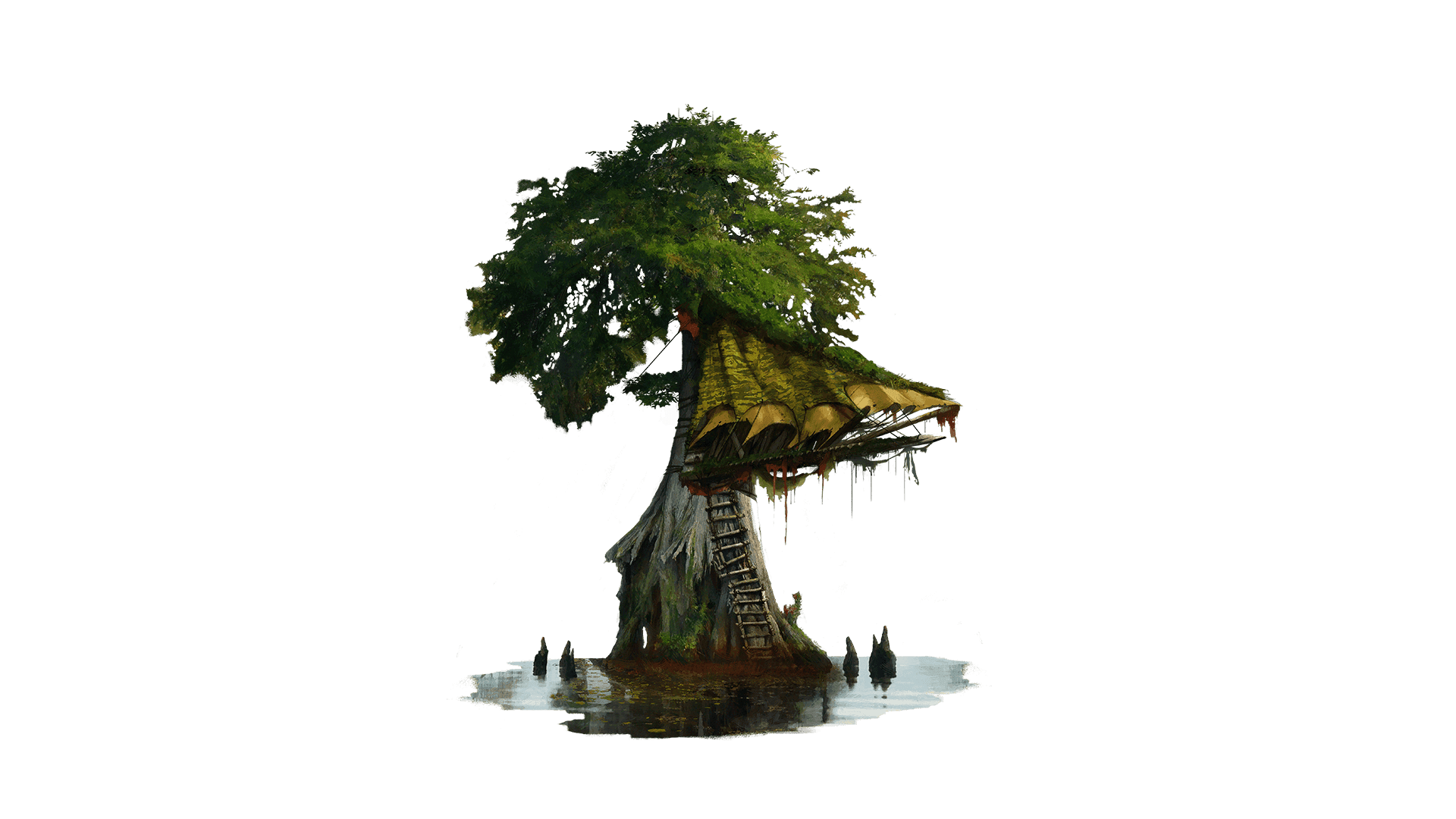 A treehouse at the top of a standalone tree in the middle of a swamp. The treehouse is only accessible by a rickety wooden ladder.