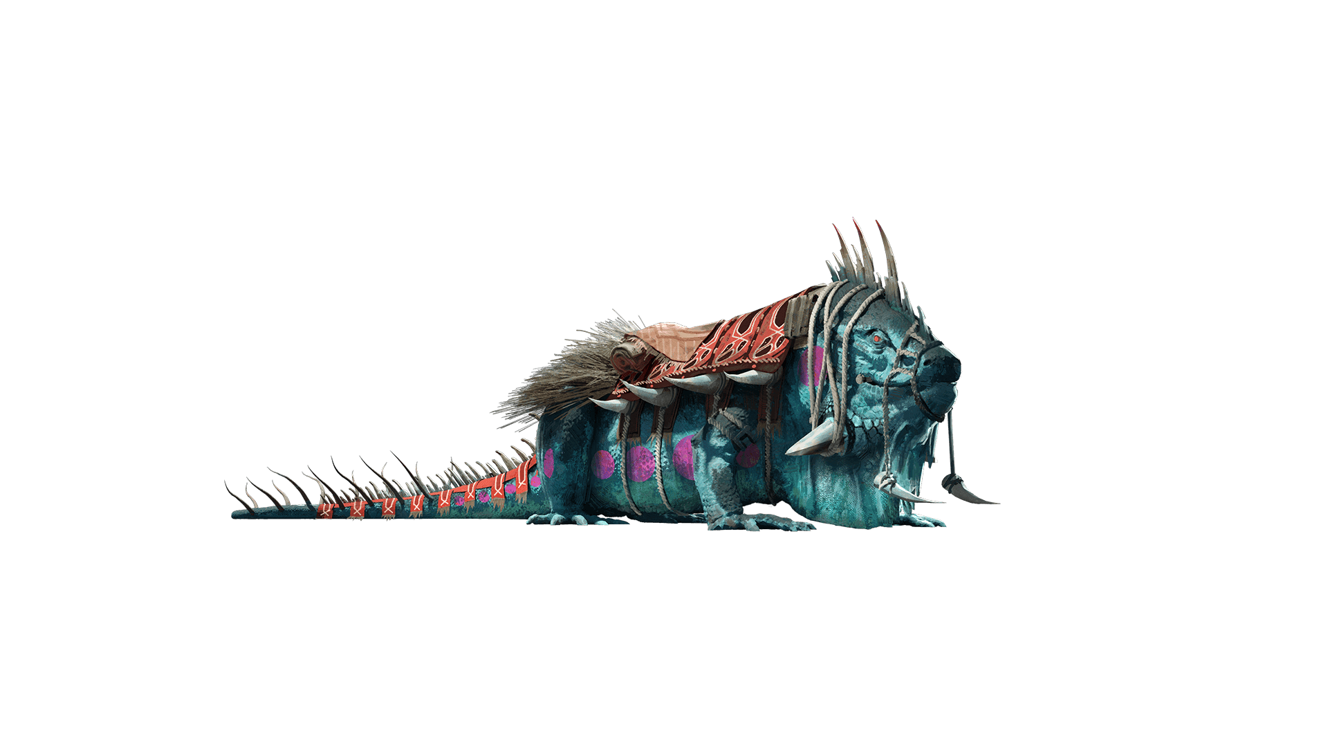 A fat iguana with spikes coming out of the side and whos neck touches the ground, has beady orange eyes and a saddle of cloth and hay on its back