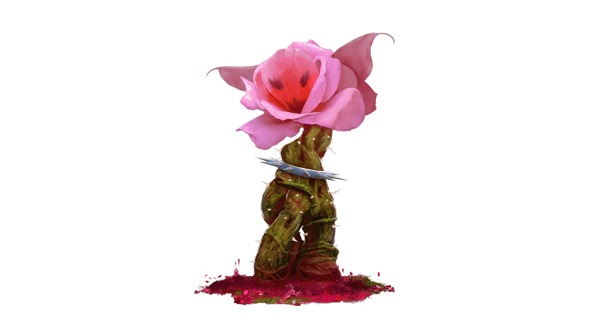 A pink flower at the top of a green and a red thorn stem, showcasing vibrant colors in a natural setting. With a spiked metal ring around the top of it