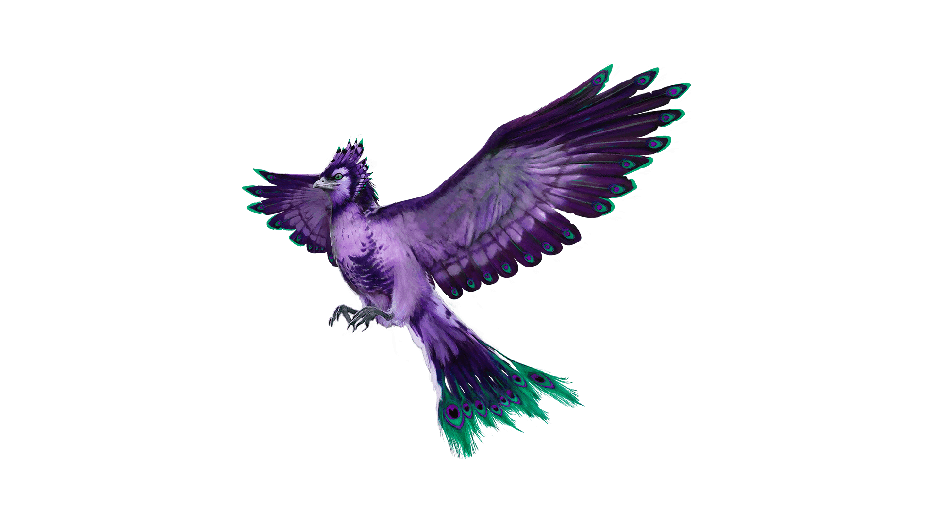 A bird with feathers of vibrant light and dark purple and green accents