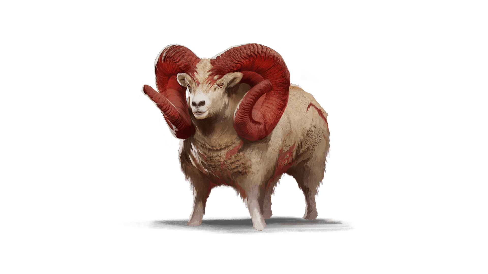 A frontal view of a ram like creature with giant red, twisting horns and splotches of reddened wool.