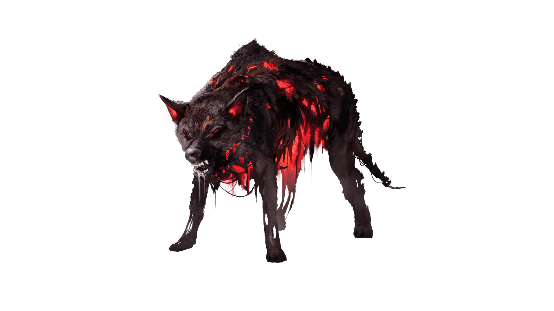 A wolf like creature with four glowing red eyes snarls as drool slips out of the front of its mouth. The wolf's pelt has holes missing from it and red light glows from underneath.