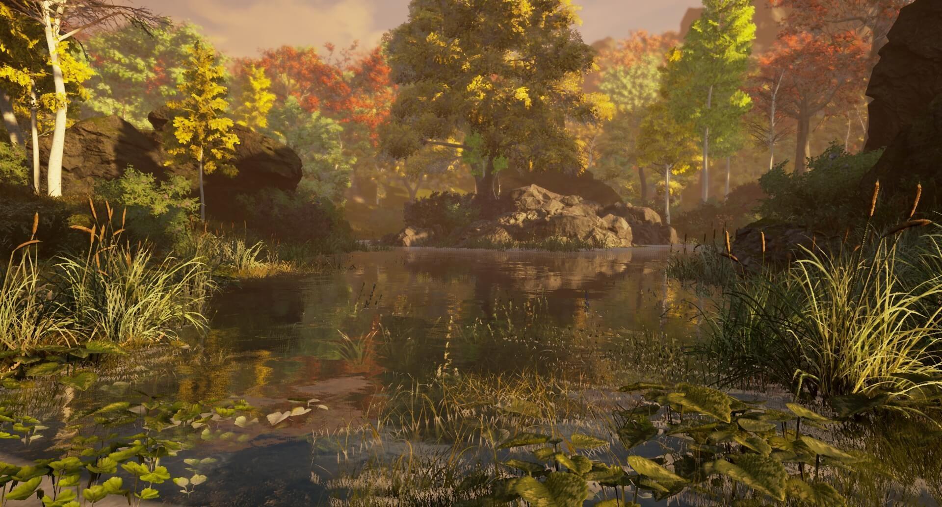 A pond with cattails and lily pads sits surrounded by a lush forest of varying colors.
