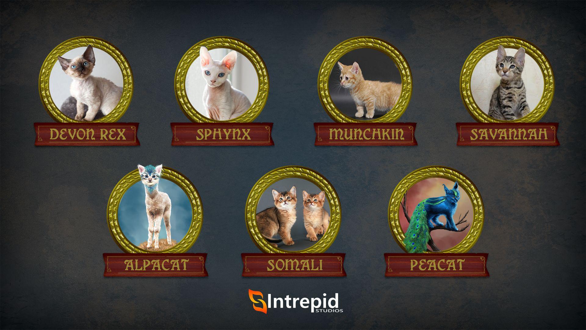 Seven different variations of kittens inside of circles with different names to be voted on