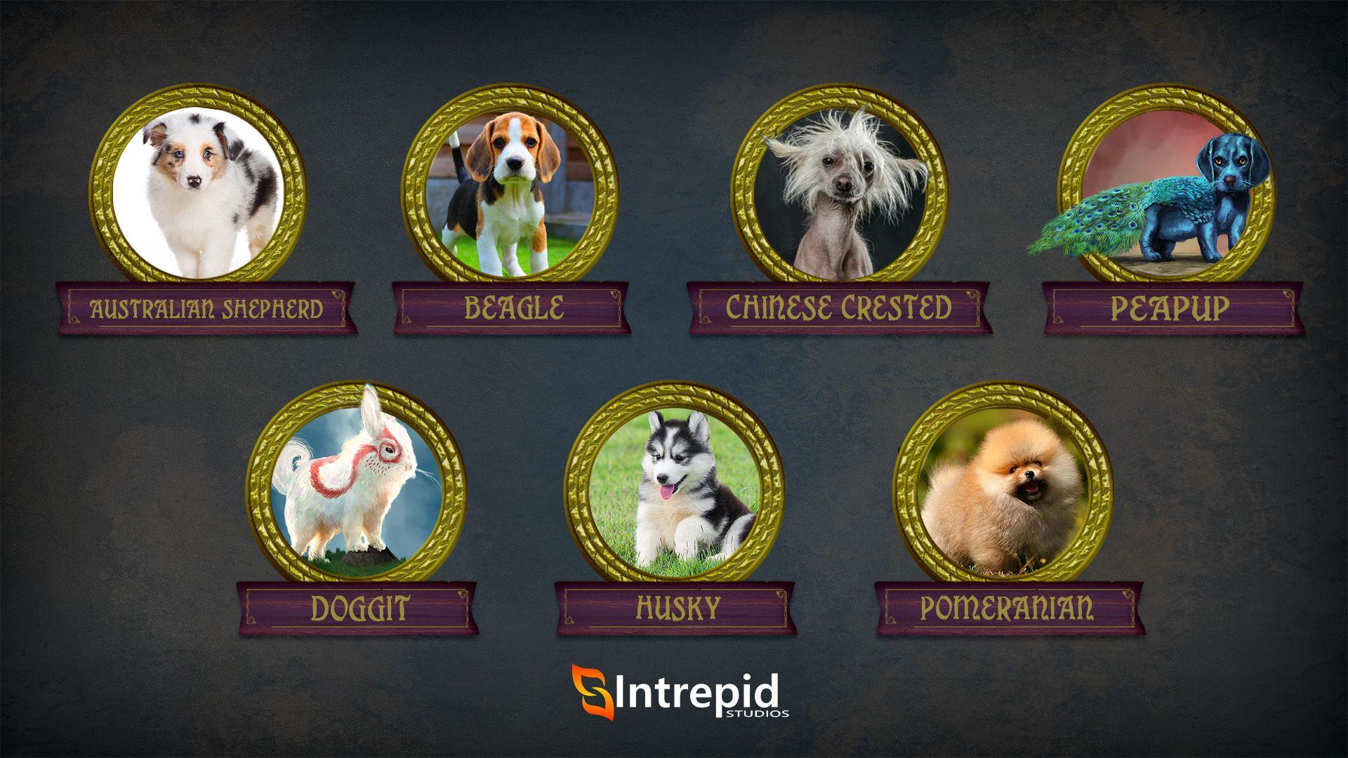 Seven different variations of puppies inside of circles with different names to be voted on