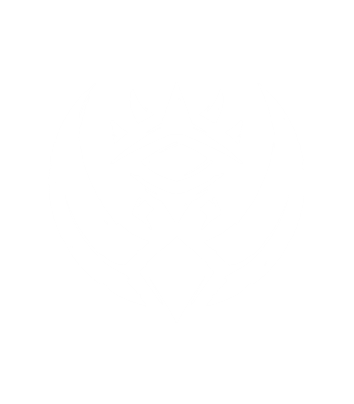 Vek Icon