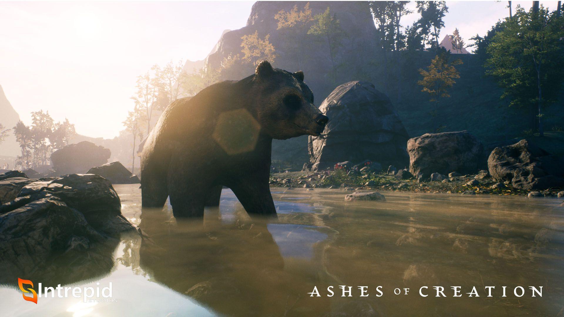 A bear stand in ankle deep river water.