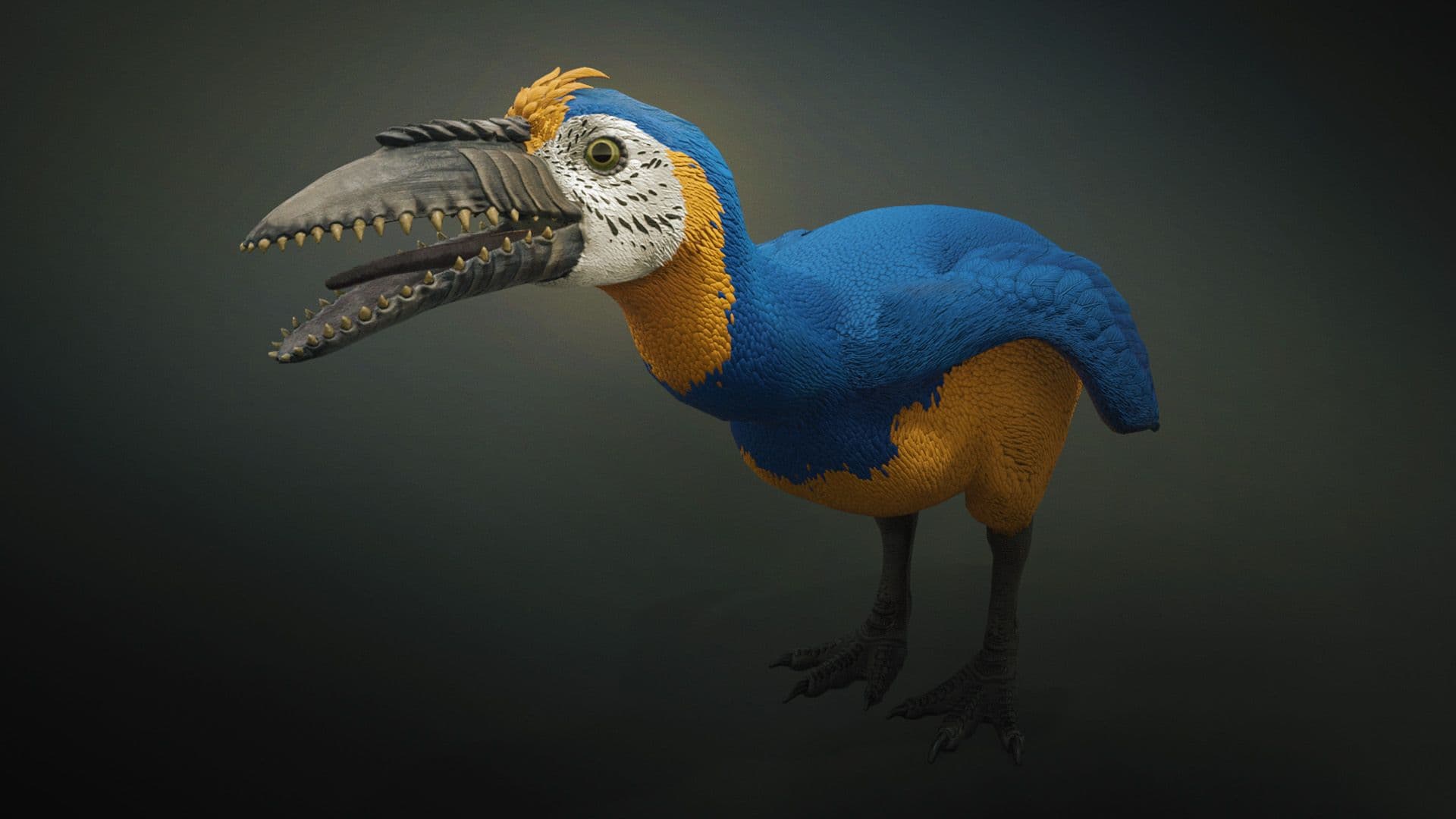 A macaw like creature that stands on two legs and has teeth in its beak.